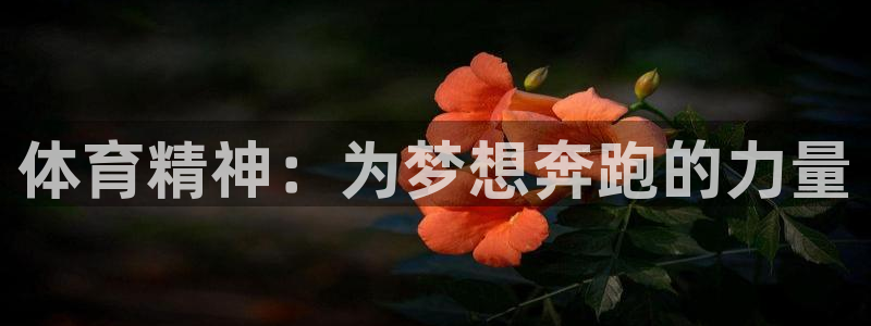 熊猫体育平台官网：体育精神：为梦想奔跑的力量