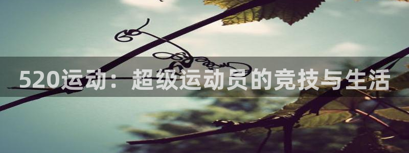 熊猫体育v3.新网页.org：520运动：超级运动员的竞技与生活