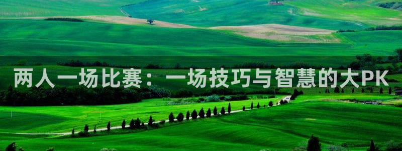 181熊猫体育：两人一场比赛：一场技巧与智慧的大PK
