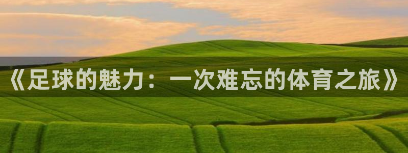 熊猫体育网址：《足球的魅力：一次难忘的体育之旅》