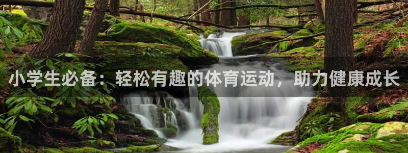 181熊猫体育：小学生必备：轻松有趣的体育运动，助力健康成长