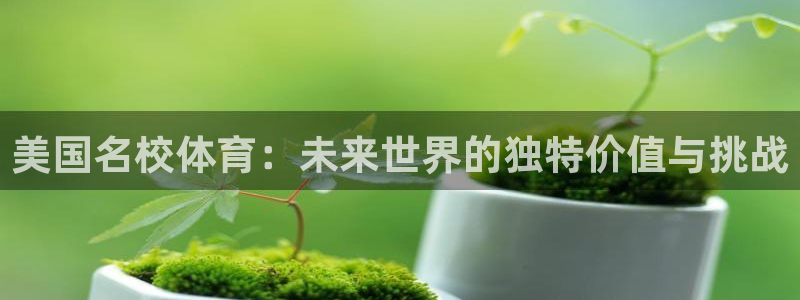 熊猫体育公园价格：美国名校体育：未来世界的独特价值与挑战