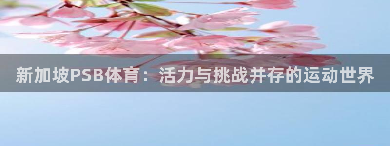 熊猫体育sports：新加坡PSB体育：活力与挑战并存的运动世界