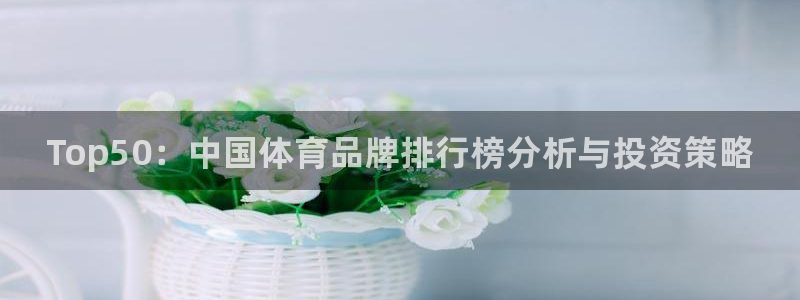 熊猫体育官网首页入口：Top50：中国体育品牌排行榜分析与投资策略