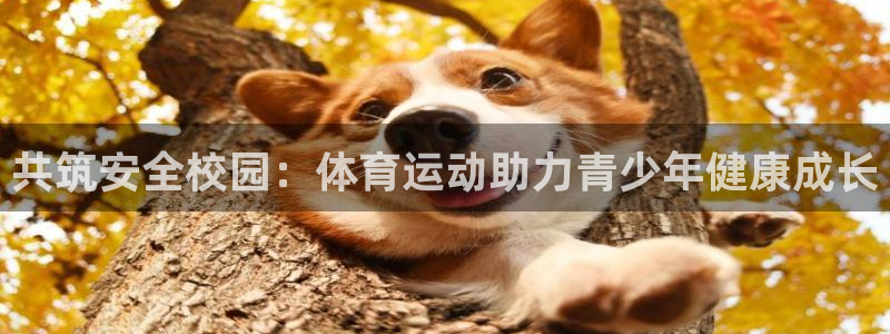 成都熊猫体育公园：共筑安全校园：体育运动助力青少年健康成长