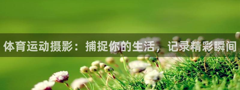 动感熊猫体育公园：体育运动摄影：捕捉你的生活，记录精彩瞬间