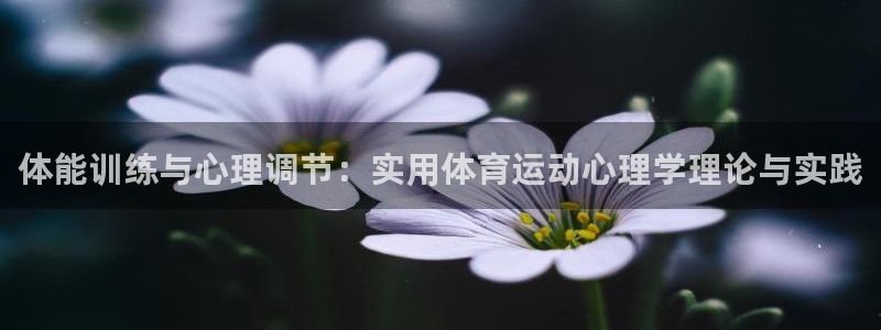 熊猫体育app官网入口：体能训练与心理调节：实用体育运动心理学理论与实践
