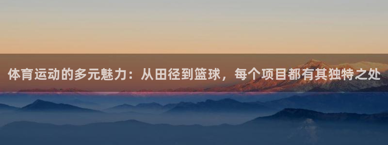 成都熊猫体育公园：体育运动的多元魅力：从田径到篮球，每个项目都有其独特之处