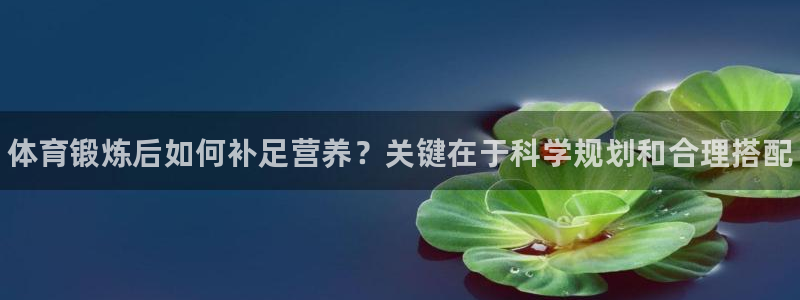 181熊猫体育