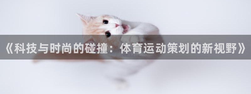 熊猫体育比赛直播：《科技与时尚的碰撞：体育运动策划的新视野》