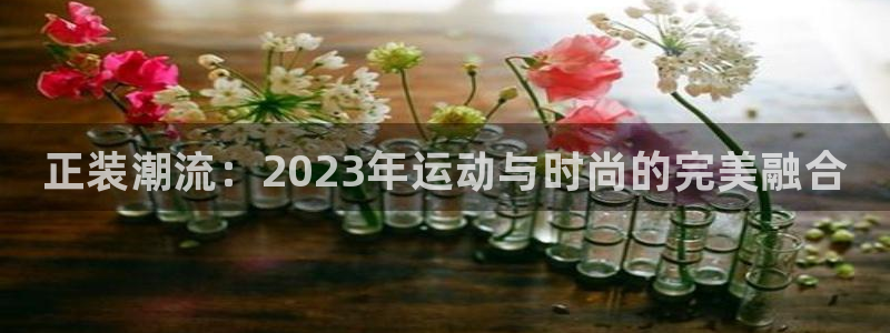 熊猫体育app官网入口：正装潮流：2023年运动与时尚的完美融合