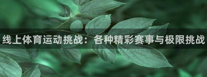 熊猫体育v3.新网页.org：线上体育运动挑战：各种精彩赛事与极限挑战