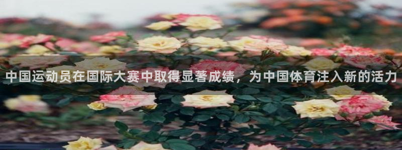 熊猫体育公园价格：中国运动员在国际大赛中取得显著成绩，为中国体育注入新的活力