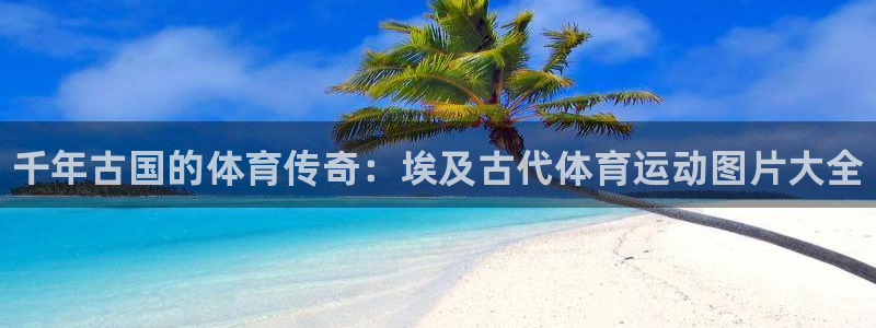熊猫体育直播