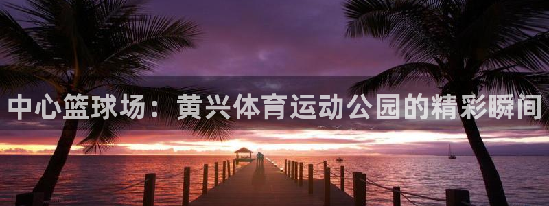 熊猫体育网站