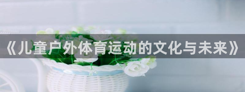 成都金熊猫体育：《儿童户外体育运动的文化与未来》